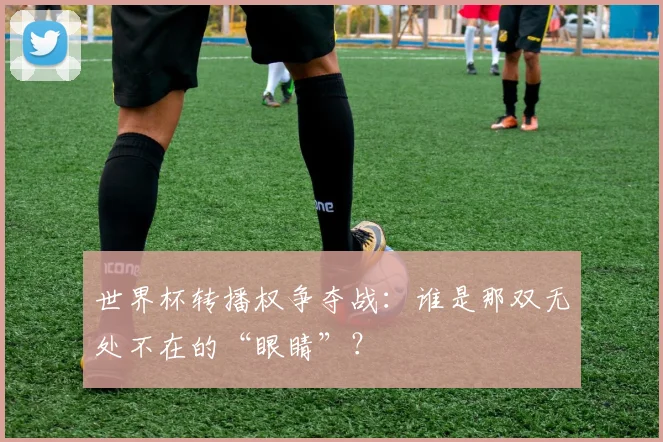 世界杯转播权争夺战：谁是那双无处不在的“眼睛”？