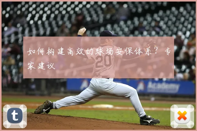 如何构建高效的球场安保体系？专家建议