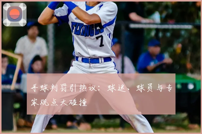 手球判罚引热议：球迷、球员与专家观点大碰撞