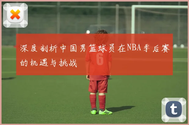 深度剖析中国男篮球员在NBA季后赛的机遇与挑战