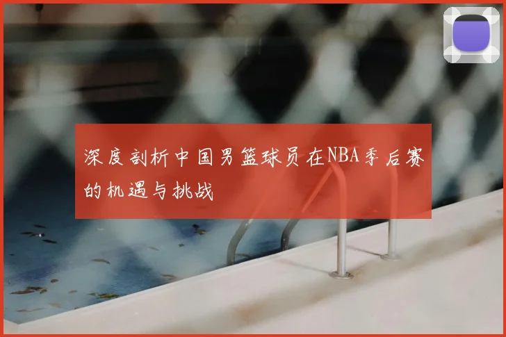 深度剖析中国男篮球员在NBA季后赛的机遇与挑战