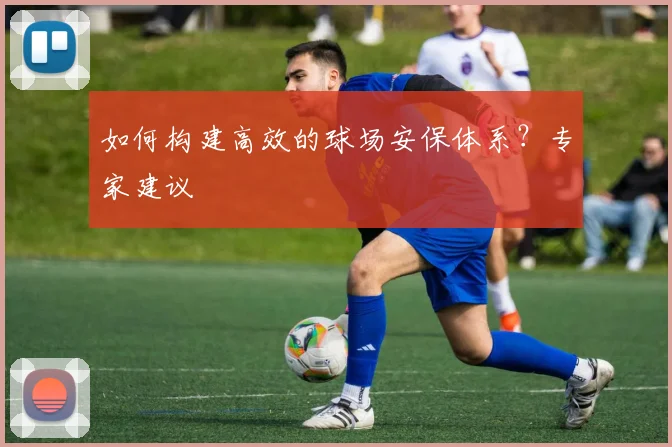如何构建高效的球场安保体系？专家建议